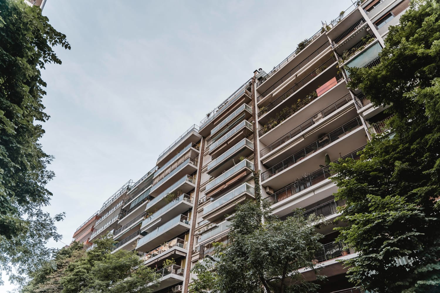 Grupo de pisos en una zona con árboles